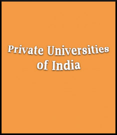 Private University