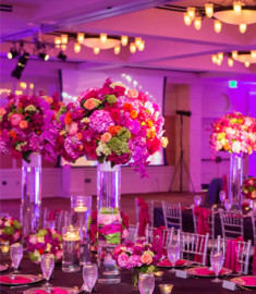 Event Planner & Organizer