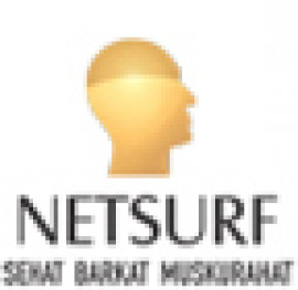 netsurfnetwork.com