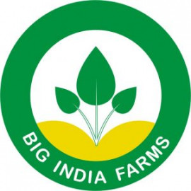 bigindiafarms.com
