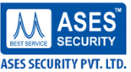asesindia.com