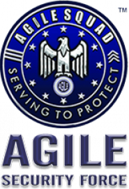 agilesecurityforce.com