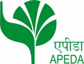 apeda.in