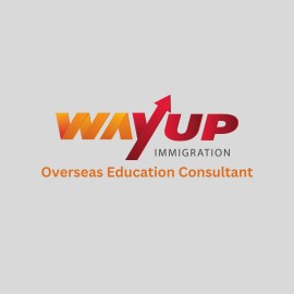wayupabroad.com